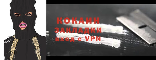 твердый Аркадак