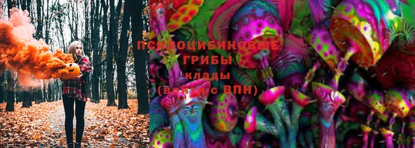мяу мяу мука Арсеньев