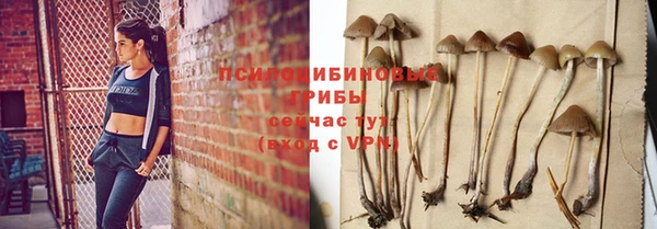 таблы Армянск