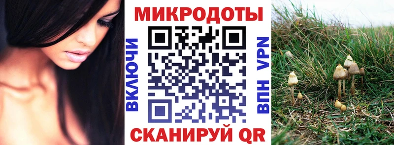 Псилоцибиновые грибы Magic Shrooms  Купить где  Чистополь 
